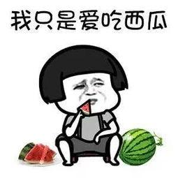 吃瓜多快乐视频,短视频背后的娱乐狂欢