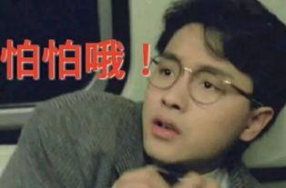 最真的事实吃瓜视频大全,最全真相大公开