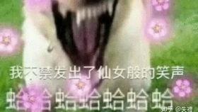 吃瓜摸鱼看戏视频大全,吃瓜摸鱼看戏视频大全，笑料百出，精彩纷呈