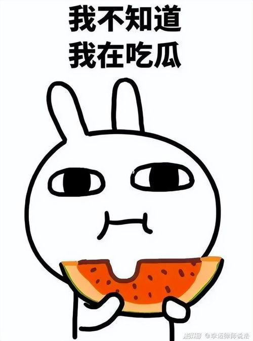 吃鸡抠鼻瓜视频素材下载,趣味素材背后的下载攻略