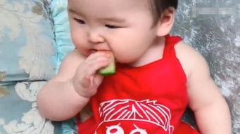 儿子吃瓜视频,萌娃搞笑瞬间，萌态可掬引网友热议