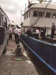 舟山吃瓜渔船事件视频,一场意外引发的全民热议