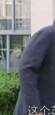 吃瓜群众吃皮裤视频,视频爆笑全场！