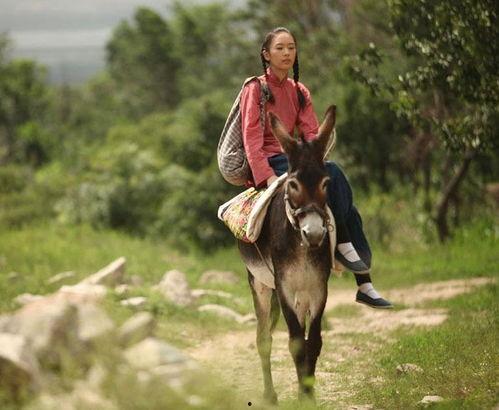 四哥骑驴吃瓜视频大全