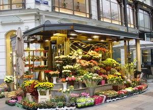 唐山花店吃瓜视频完整版,完整版视频揭秘惊人内幕