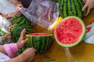 海上吃瓜视频,揭秘海上吃瓜视频背后的故事