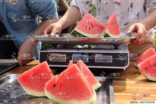 吃瓜视频山东,揭秘当地特色美食与民间趣事