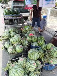 广西梅州吃瓜事件视频,一场网络热议的误会真相揭秘