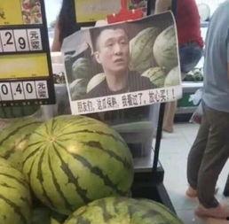 瓜哥吃瓜开箱视频全集在线观看,揭秘热门产品背后的真实故事