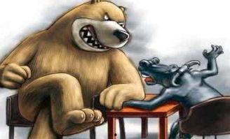 牛熊吃瓜视频大全,盘点热门视频大全