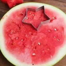 吃瓜吐籽视频大全,趣味横生的夏日消暑神器