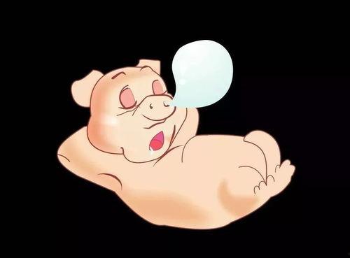 吃瓜主播小胖猪视频下载,视频下载攻略大公开