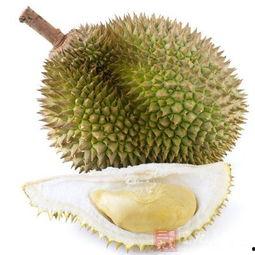 榴莲生瓜能吃吗怎么吃视频