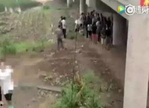 大伯吃瓜跳桥视频大全,一场惊心动魄的视觉盛宴