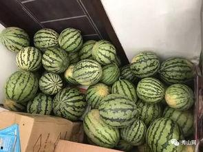 韩城吃瓜视频在哪里看啊