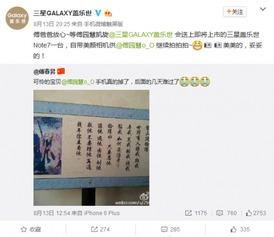 国内吃瓜国产网站大全视频,国产视频大全一网打尽