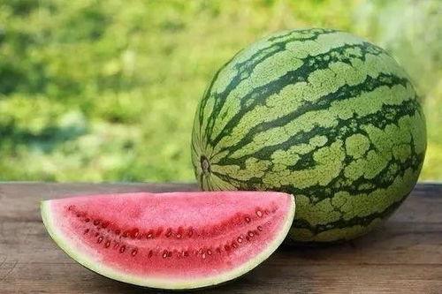 多角度看吃瓜视频