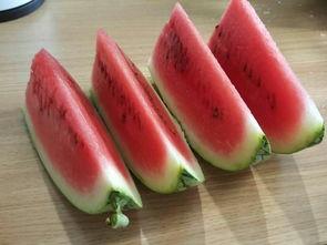 一丝清凉吃瓜视频,揭秘吃瓜视频的魅力所在