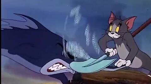 猫鼠吃瓜视频大全,盘点热门猫鼠吃瓜视频大全