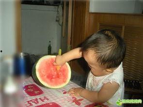 西瓜视频吃瓜大笑,吃瓜大笑，欢乐无限