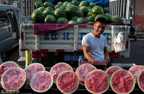 湖州吃瓜群众广告视频大全,广告视频大全趣味盘点