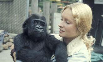 美女吃瓜像猩猩视频,太真实了！