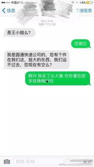 这个瓜你吃不吃视频讲解,揭秘“这个瓜你吃不吃”视频背后的真相与趣味