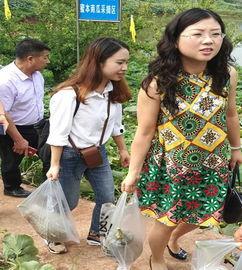 西昌选美吃瓜事件视频曝光,吃瓜群众揭秘幕后真相